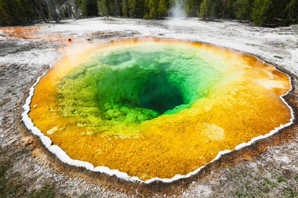  Things to Do in Yellowstone National Park