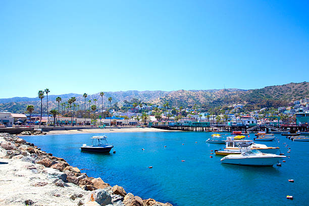 Best Things to Do in Catalina Island