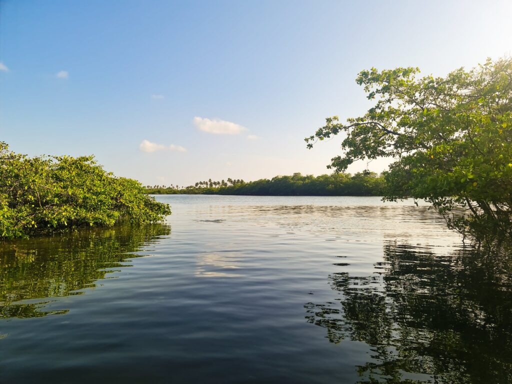 Best Things to Do in the Everglades