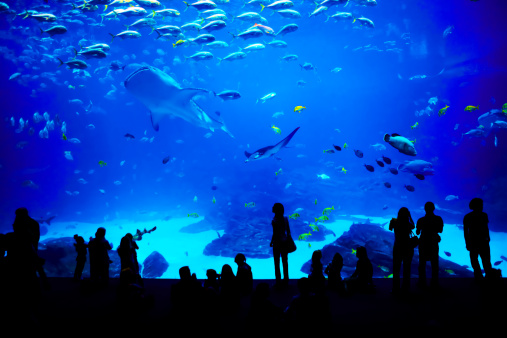 Aquariums in the US